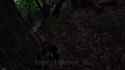 2025-06-28__SF_p1_thumb.jpg