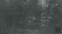 2025-06-28__SF_p2_thumb.jpg