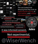 simp Wiser Wench JULES no Son MaxVaxxed with son