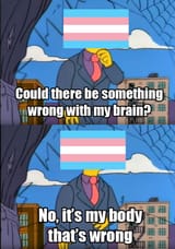 trans-wrong-brain