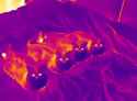 kots_on_flir_camera_thumb.jpg
