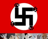 HH