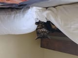 IMG_20250623_145624471