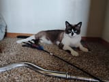 IMG_20250625_182941414