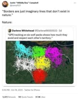 1749623087611539m