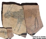 Apollo-11-cave-therianthrope