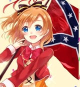2D Southern belle