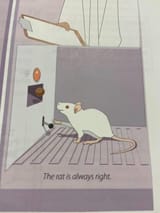 the_rat_got_it_right