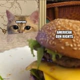 european_cats_eyeing_american_gun_rights_ooh_tasty