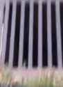 1705369734100613_thumb.jpg
