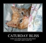 CATURDAYBLISS-vi
