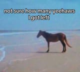 not-sure-many-yeehaws-got-left