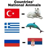 Puccia&#039;s nation animal