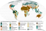 Last_Glacial_Maximum_Vegetation_Map