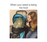 too-loud-weed-meme-1