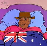 comfy bruce