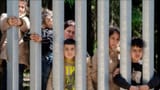 poland&#039;s closed to somalians like you