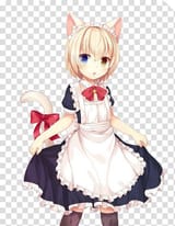 qwe_download