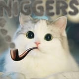 niggers-cat-smoking