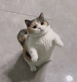 1726042658132793