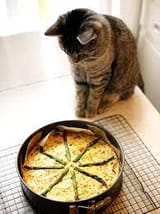 KOTQUICHE03