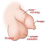 Scandanavia
