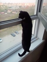 IMG_20230513_195640