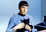 Caturady Spock