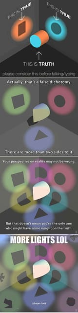 perception is an allowance of light 