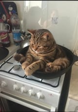 côtelette