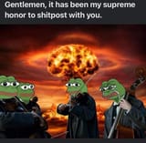 violins_1683154871264589