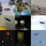 collage2