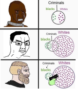 nigger criminals