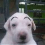 FqlnDIEagAII9M-