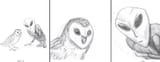 alien-owl-template