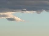 IMG_8946-1d82dd0a1b96add4e32d02fffcd53d26