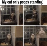 1748130130073945