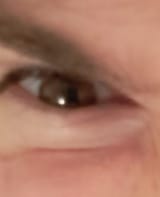337619432