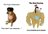 vbvbfg