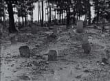 Black_hope_curse1_cemetery
