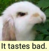 it tastes bad