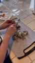15015199460_thumb.jpg