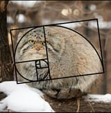 maru