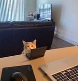 FB_IMG_1741072953923