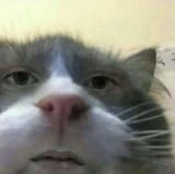 1610515165950