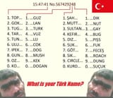 1732496230154652