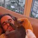 comfy_sleeping_place_13__thumb.jpg