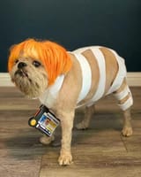 MilaJojovavichDog
