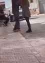 walkable city_thumb.jpg