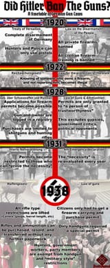 hitler gun control